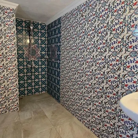 Ekin فيلة داليان